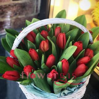 Тюльпаны в корзине